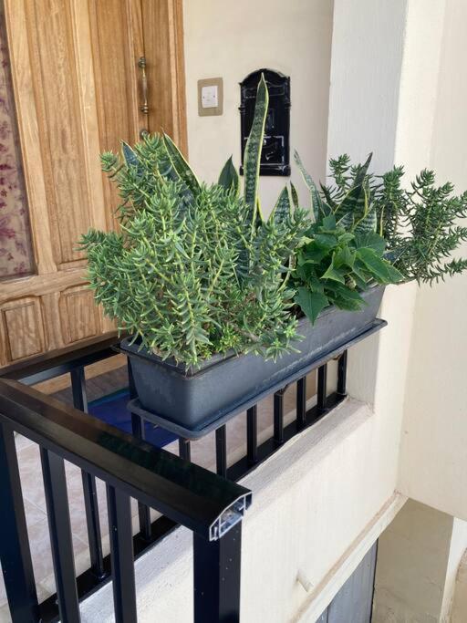 Dream Theatre Maisonette Marsaskala Esterno foto